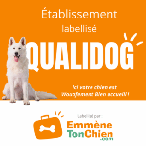 logo Emmène ton chien